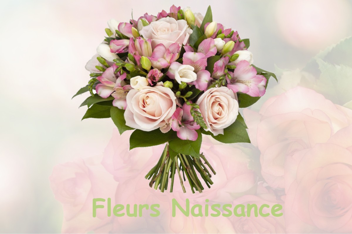 fleurs naissance ARCHELANGE